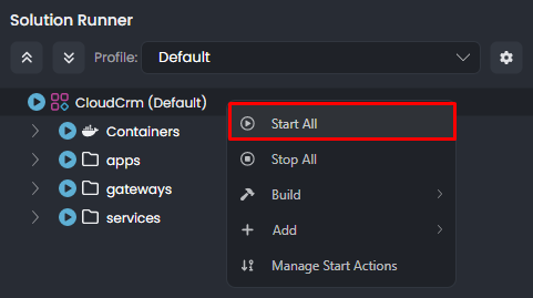 abp-studio-run-build-start