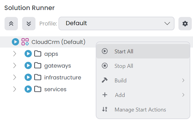 abp-studio-run-build-start