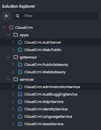 abp-studio-solution-explorer-initial-cloud-crm-microservice-solution-ng