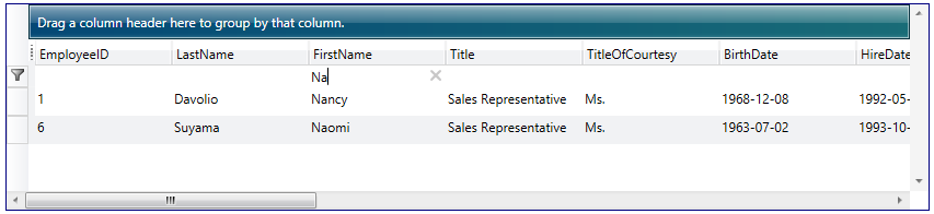 Advanced DataGrid_filterrow.png